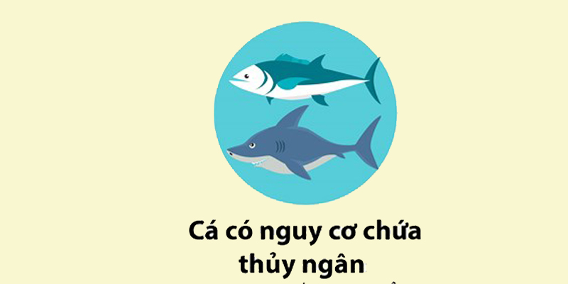 Cá chứa lượng thủy ngân cao