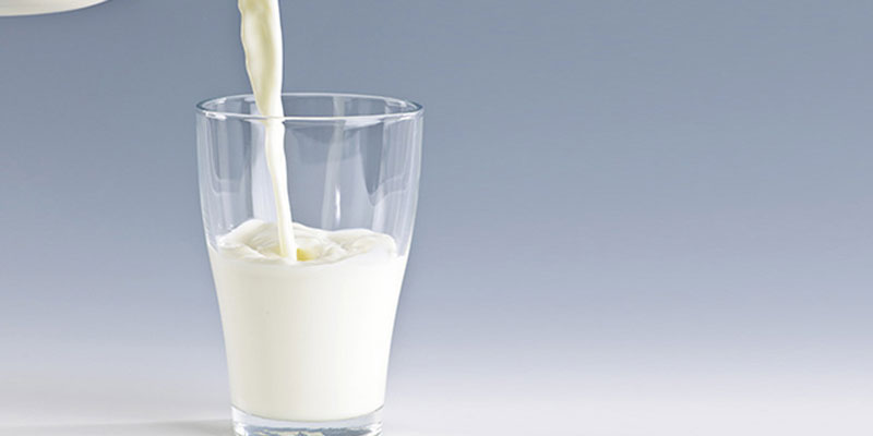 Các thành phần của sữa sẽ rất có lợi cho đất trồng, nhờ đó cây nhà bạn sẽ phát triển nhanh, tốt và khỏe mạnh.