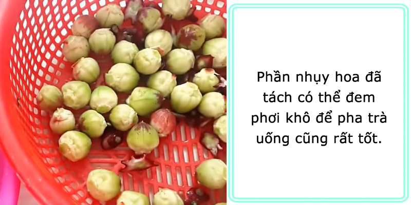 Phần nhụy hoa đã tách, có thể đem phơi khô, dùng để pha trà uống rất tốt