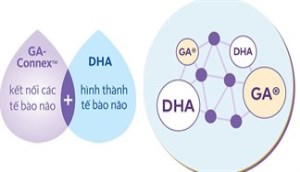 Muốn con phát triển trí não toàn diện, chỉ DHA là chưa đủ