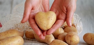 Công dụng chăm sóc da của khoai tây