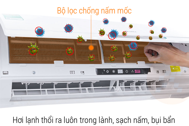 Bộ lọc chống nấm mốc