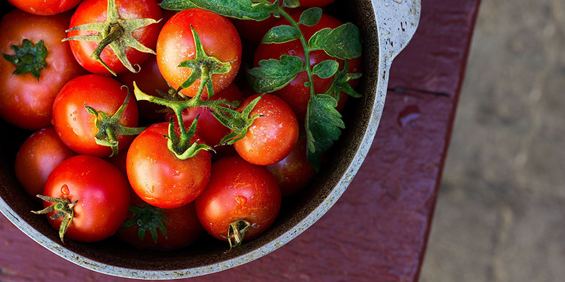 Lycopene có nhiều trong các loại quả có màu đỏ như cà chua, dưa hấu.