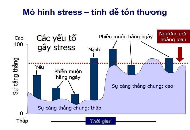 Cập nhật 67+ về mô hình stress