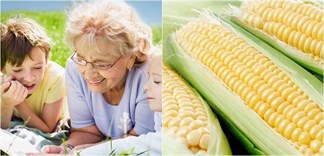 Ai không nên ăn bắp?