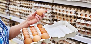 Thu hồi hàng triệu quả trứng gà bị nhiễm khuẩn Salmonella