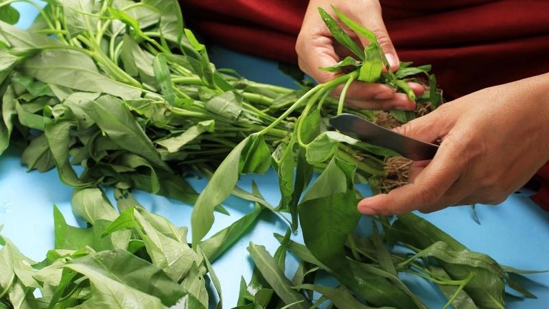 Notes when eating water spinach and how to store water spinach