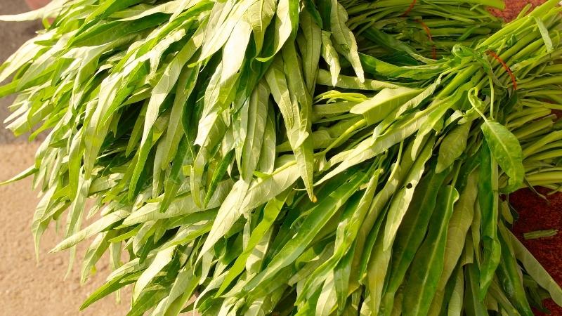 Image of the best supermarket for buying water spinach at the best price in the US