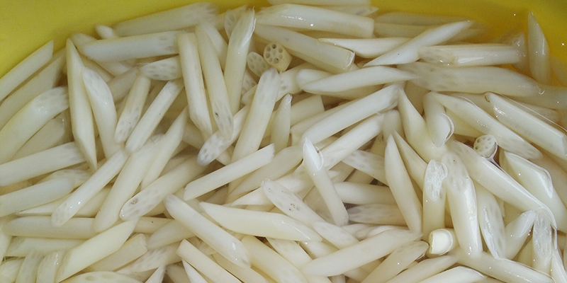Ngó sen Ngó sen
