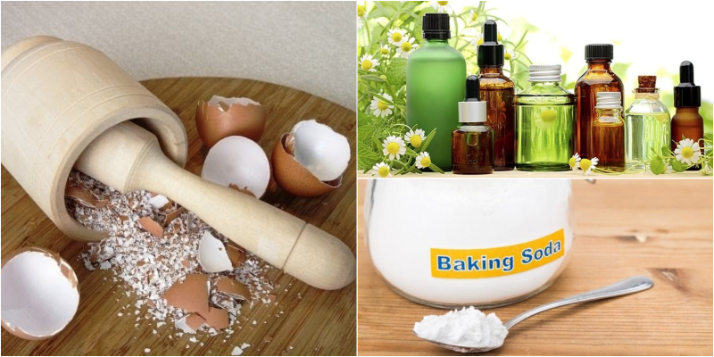Bột vệ sinh Bột vệ sinh