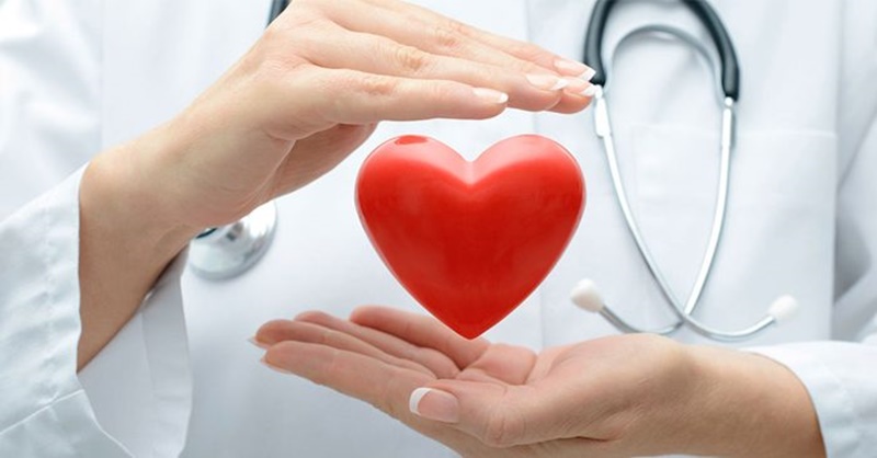 Lê bảo vệ hệ tim mạch hiệu quả