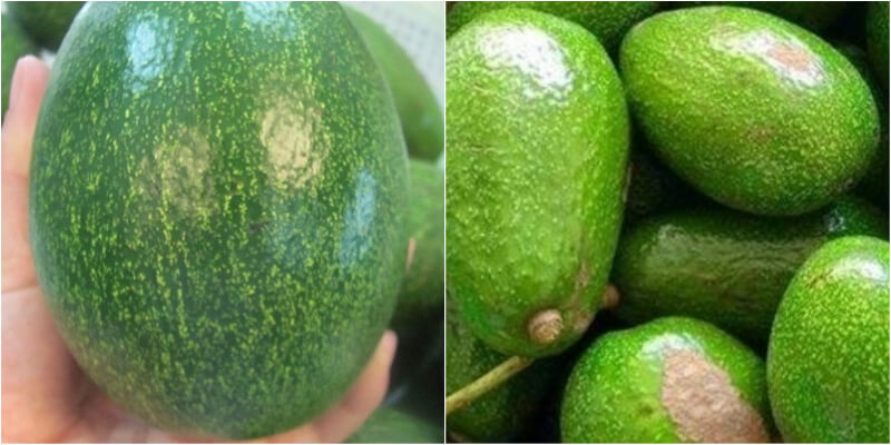 Should choose ripe avocado, with dark green and rough skin, and many yellow specks