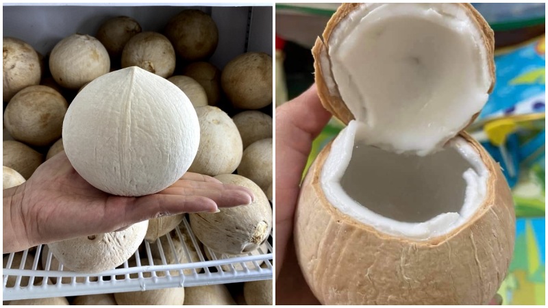 How to extract coconut meat without using a knife