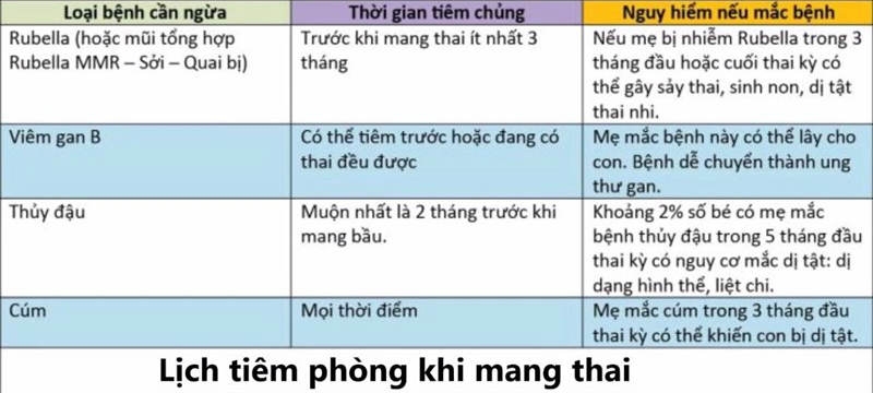 Tiêm phòng trước khi mang thai