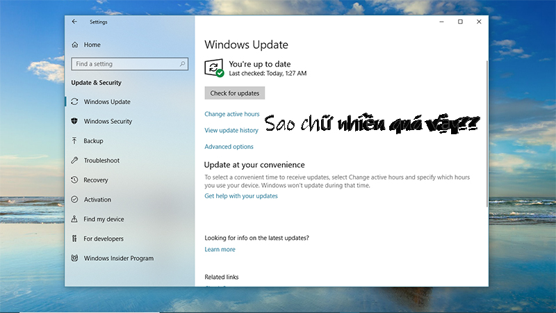 Windows 10 Windows 10
