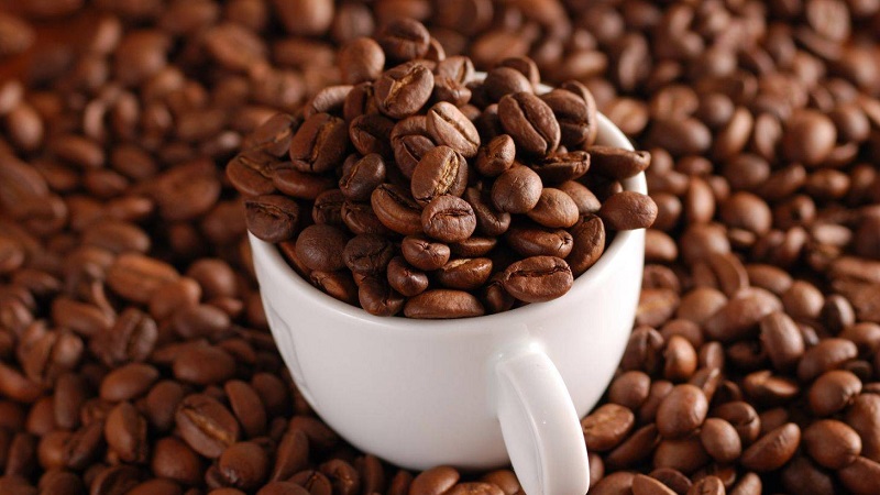 Hạt cà phê 6 loại hạt cà phê phổ biến và ngon nhất
