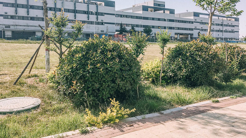 Nhà máy sản xuất iPhone