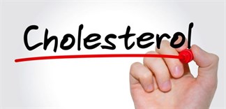 Cholesterol là gì? Các loại Cholesterol, vai trò của Cholesterol đối với cơ thể