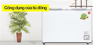 8 lợi ích cơ bản của tủ đông bạn nên biết