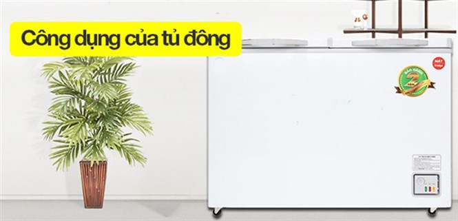 8 lợi ích cơ bản của tủ đông bạn nên biết