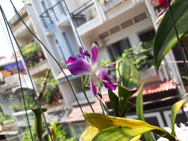 Đánh giá Galaxy A6