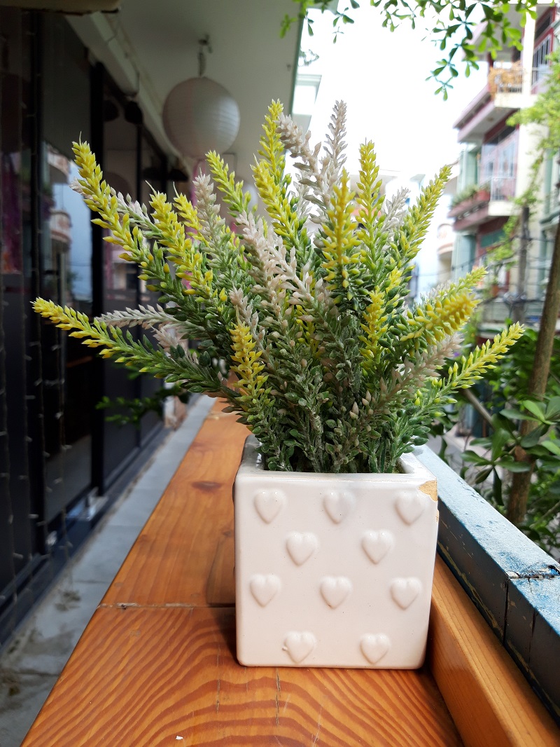 Đánh giá Galaxy A6