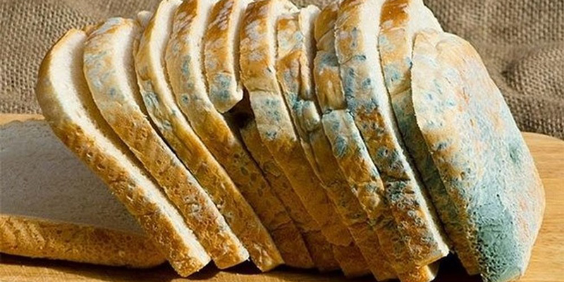 Đối với bánh mì không nhân nếu nhiễm mốc ít, hoặc chỉ mới chớm bạn có thể cắt bỏ khu vực nấm mốc vẫn có thể ăn được