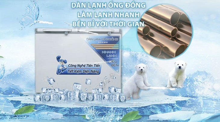 Tủ đông dàn lạnh đồng