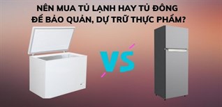 Nên mua tủ lạnh hay tủ đông để bảo quản, dự trữ thực phẩm?
