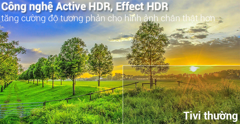 Công nghệ Active HDR và HDR Effect trên tivi LG UHD 2018