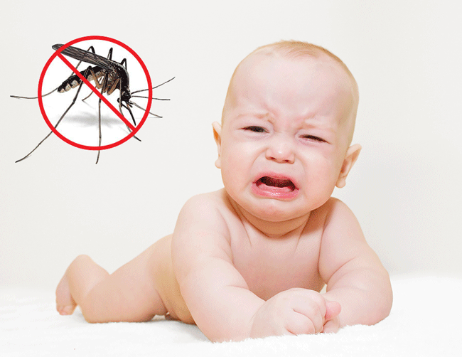 Phụ nữ, trẻ nhỏ dễ bị muỗi tấn công