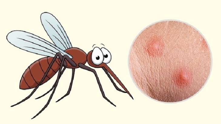 “Há hốc mồm” khi biết lý do bạn bị muỗi đốt nhiều hơn người khác
