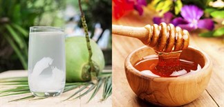 Công dụng tuyệt vời của mật ong và nước dừa đối với sức khỏe, bạn đã biết?