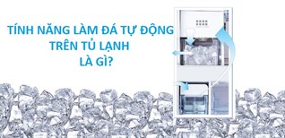Tính năng làm đá tự động trên tủ lạnh là gì? Vì sao nên mua tủ có chức năng này?