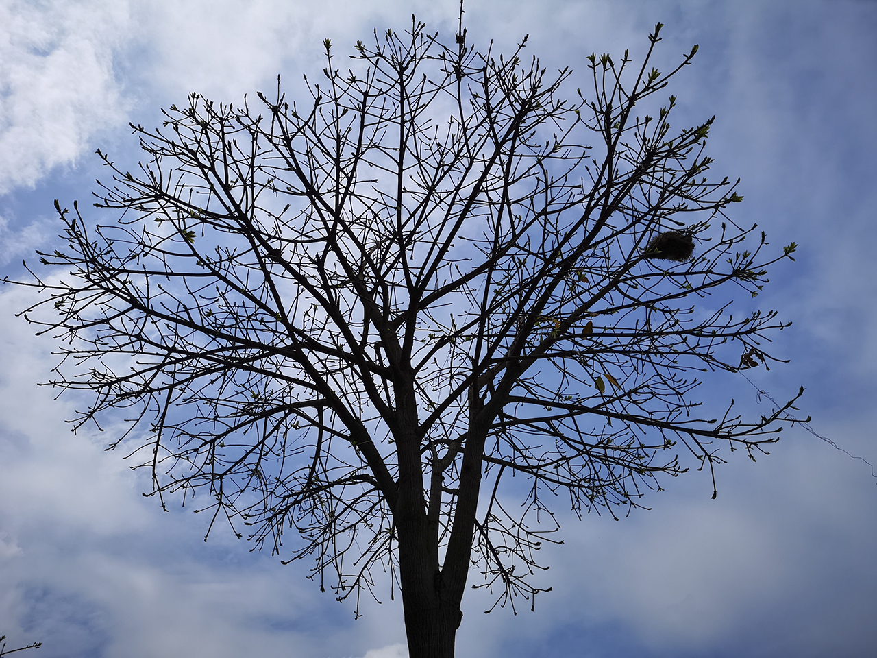 Đánh giá chi tiết Huawei P20 Pro Đánh giá chi tiết Huawei P20 Pro