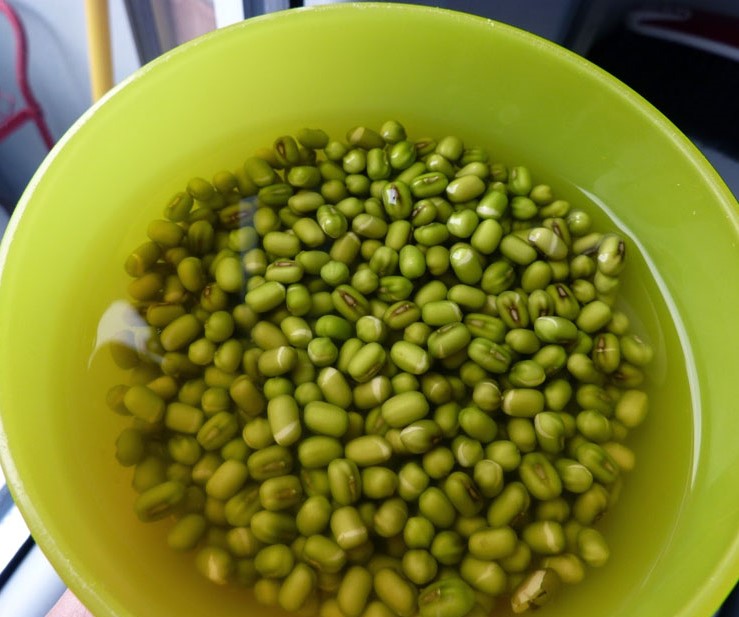 Soaking mung beans