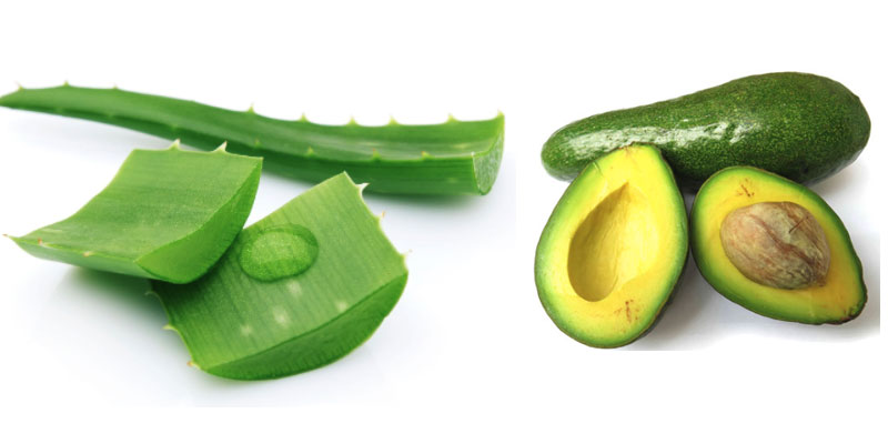 How to make avocado, aloe vera smoothie and health benefits that you didn’t expect