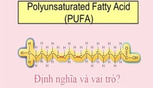 PUFA là gì và vai trò của nó?