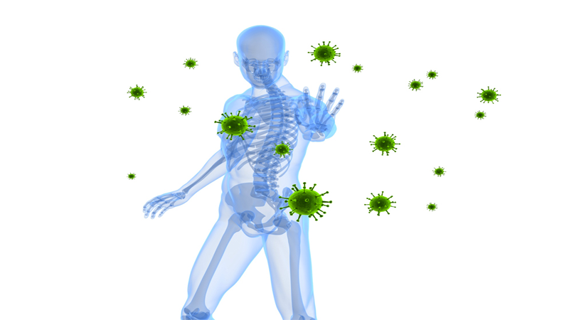 Tỏi đen giúp tăng cường hệ thống miễn dịch nhờ vào các đặc tính kháng virus, kháng nấm, kháng khuẩn và chống ký sinh trùng.