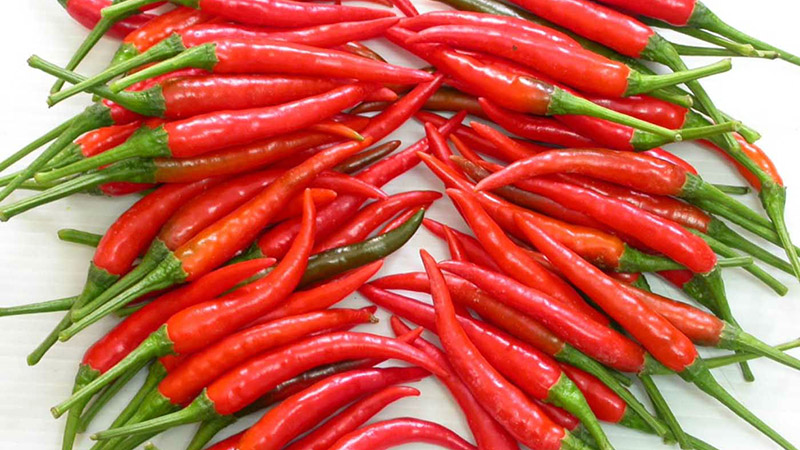 Ớt có khả năng nâng cao gấp đôi quá trình trao đổi chất Ớt có khả năng nâng cao gấp đôi quá trình trao đổi chất