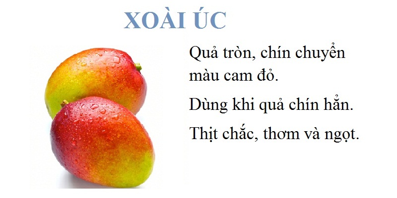 Quả tròn, chín chuyển màu cam đỏ. Dùng khi quả chín hẳn. Thịt chắc, thơm và ngọt.