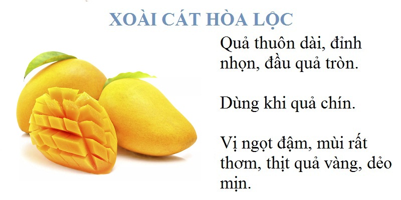 Quả thuôn dài, đỉnh nhọn, đầu quả tròn. Dùng khi quả chín. Vị ngọt đậm, mùi rất thơm, thịt quả vàng, dẻo mịn.