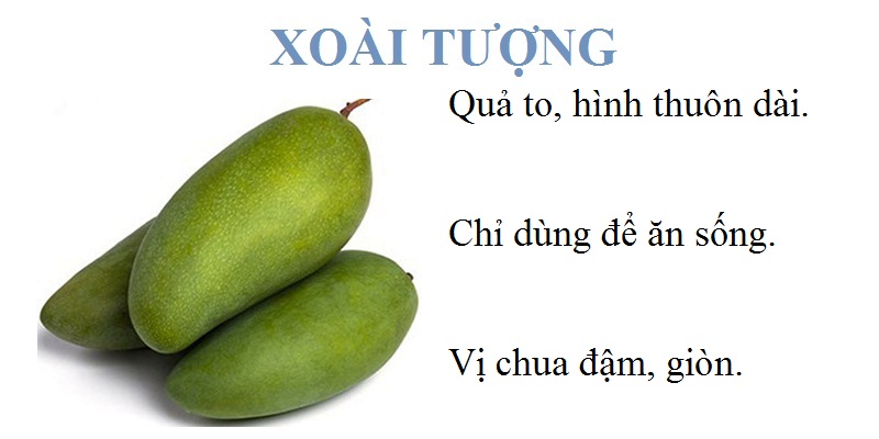 Nho đen ngón tay Úc