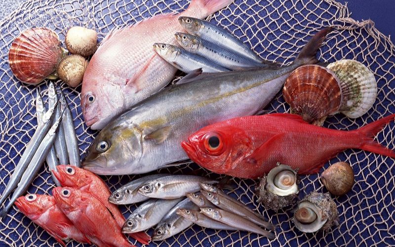  Ăn cá 2 ngày một lần sẽ cung cấp đầy đủ đạm, protein, axit amin và khoáng chất