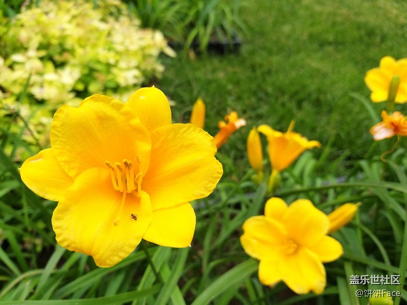 Samsung Galaxy A9 Star