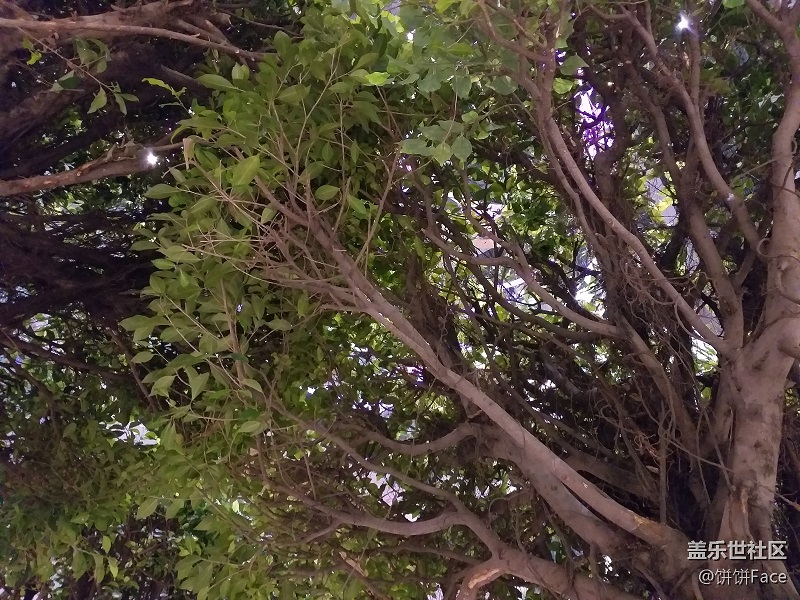 Samsung Galaxy A9 Star Lite