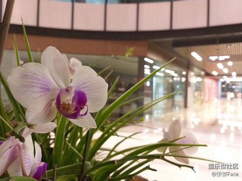 Samsung Galaxy A9 Star Lite