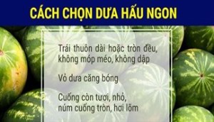 Phân biệt và cách chọn các loại dưa hấu