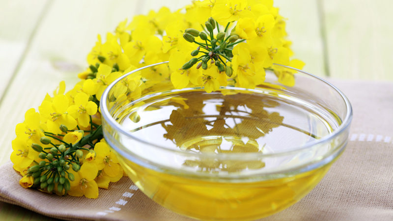 Dầu hạt cải tốt nhất dành cho chiên rán Dầu hạt cải tốt nhất dành cho chiên rán