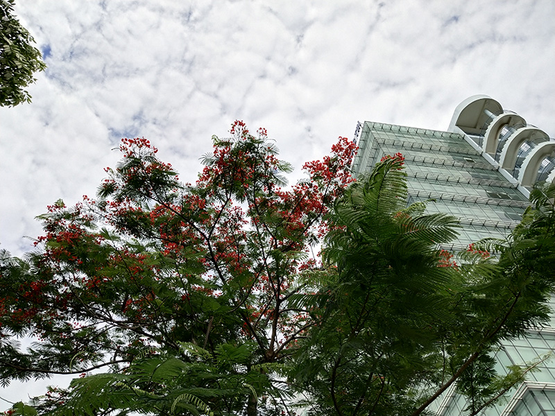 ảnh chụp từ x21 ảnh chụp từ x21